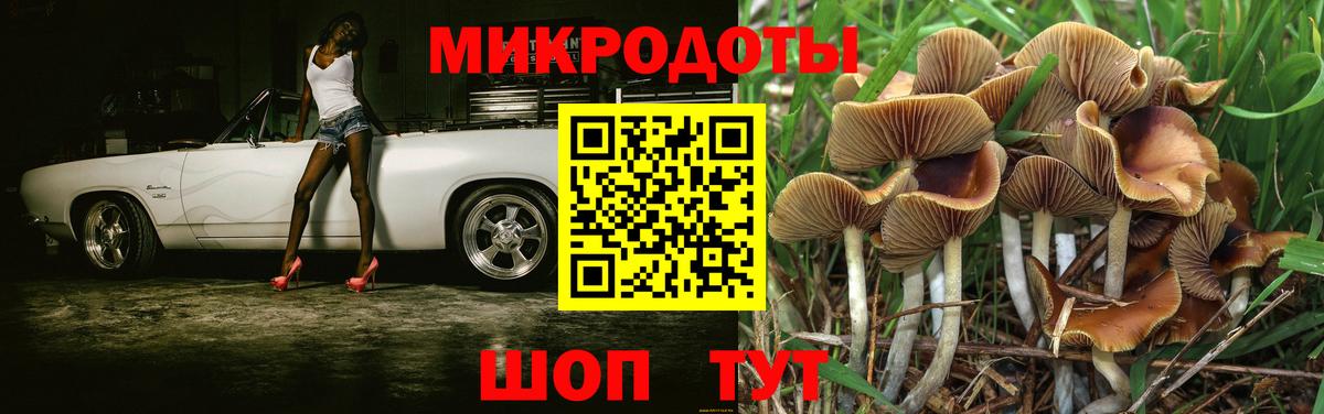 хочу наркоту  Галлюциногенные грибы GOLDEN TEACHER  Вход с VPN  Псилоцибиновые грибы мухоморы  Отрадный 
